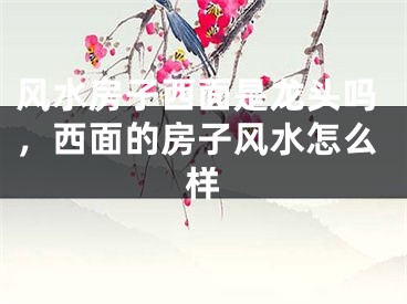 风水房子西面是龙头吗,西面的房子风水怎么样