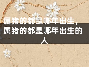 属猪的都是哪年出生,属猪的都是哪年出生的人
