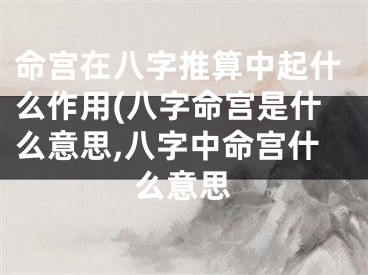 命宫在八字推算中起什么作用(八字命宫是什么意思,八字中命宫什么意思