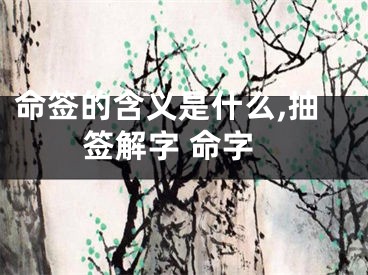 命签的含义是什么,抽签解字 命字
