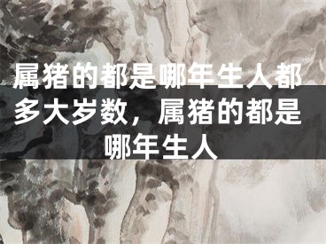 属猪的都是哪年生人都多大岁数,属猪的都是哪年生人