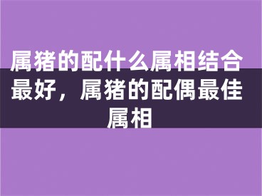 属猪的配什么属相结合最好,属猪的配偶最佳属相
