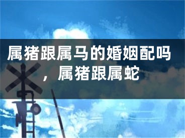 属猪跟属马的婚姻配吗,属猪跟属蛇