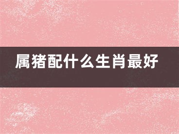 属猪配什么生肖最好