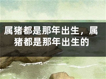 属猪都是那年出生,属猪都是那年出生的