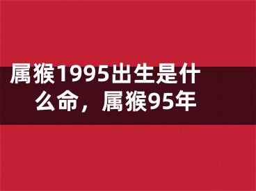 属猴1995出生是什么命,属猴95年