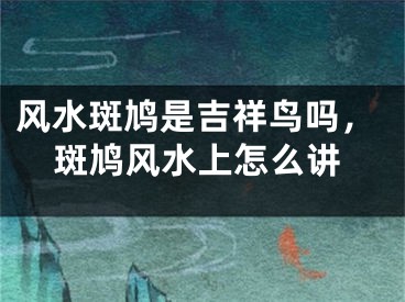 风水斑鸠是吉祥鸟吗，斑鸠风水上怎么讲