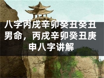 八字丙戌辛卯癸丑癸丑男命，丙戌辛卯癸丑庚申八字讲解