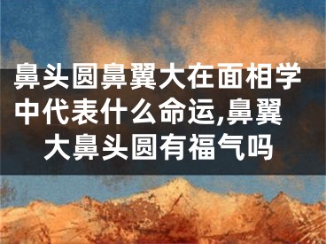 鼻头圆鼻翼大在面相学中代表什么命运,鼻翼大鼻头圆有福气吗