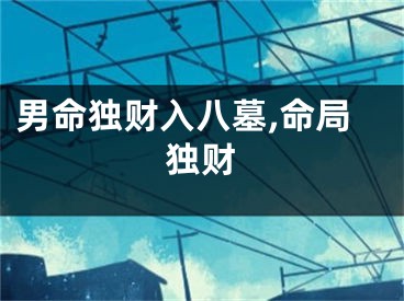 男命独财入八墓,命局独财