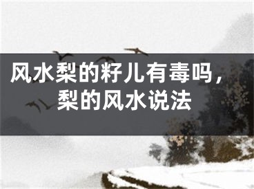 风水梨的籽儿有毒吗，梨的风水说法