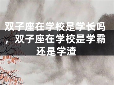 双子座在学校是学长吗，双子座在学校是学霸还是学渣