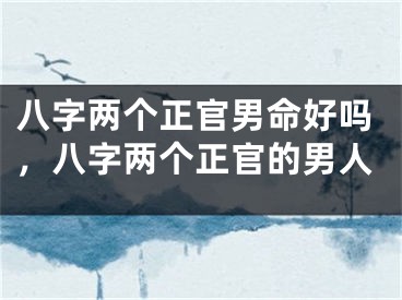 八字两个正官男命好吗，八字两个正官的男人