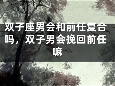 双子座男会和前任复合吗,双子男会挽回前任嘛