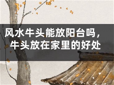 风水牛头能放阳台吗,牛头放在家里的好处