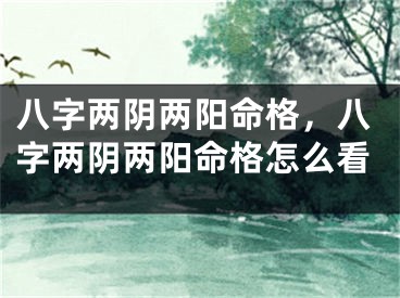 八字两阴两阳命格，八字两阴两阳命格怎么看