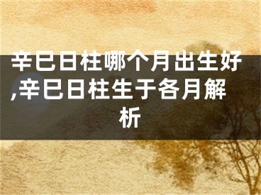 辛巳日柱哪个月出生好,辛巳日柱生于各月解析
