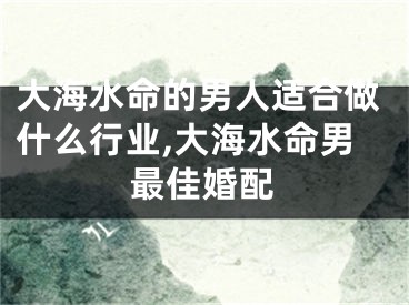 大海水命的男人适合做什么行业,大海水命男最佳婚配