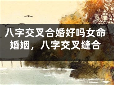 八字交叉合婚好吗女命婚姻，八字交叉缝合