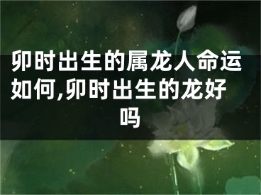 卯时出生的属龙人命运如何,卯时出生的龙好吗