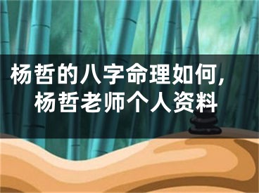 杨哲的八字命理如何,杨哲老师个人资料