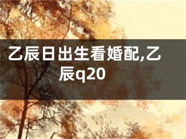 乙辰日出生看婚配,乙辰q20