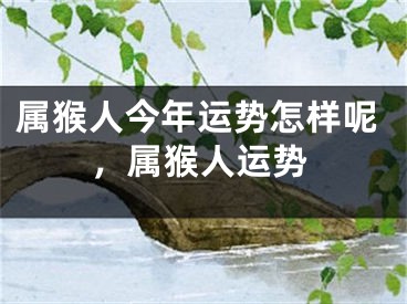 属猴人今年运势怎样呢,属猴人运势