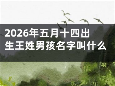 2026年五月十四出生王姓男孩名字叫什么