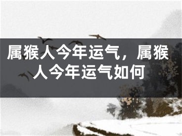 属猴人今年运气,属猴人今年运气如何