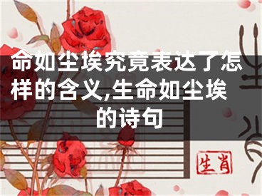 命如尘埃究竟表达了怎样的含义,生命如尘埃的诗句