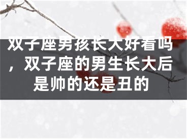 双子座男孩长大好看吗，双子座的男生长大后是帅的还是丑的