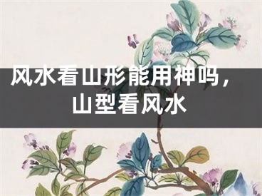 风水看山形能用神吗,山型看风水
