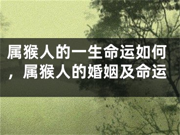 属猴人的一生命运如何，属猴人的婚姻及命运