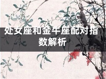 处女座和金牛座配对指数解析