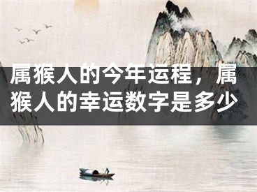 属猴人的今年运程，属猴人的幸运数字是多少