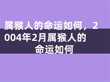 属猴人的命运如何,2004年2月属猴人的命运如何