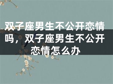 双子座男生不公开恋情吗，双子座男生不公开恋情怎么办