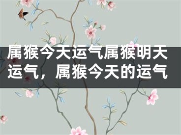 属猴今天运气属猴明天运气，属猴今天的运气