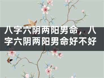 八字六阴两阳男命,八字六阴两阳男命好不好