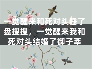 一觉醒来和死对头睡了盘搜搜,一觉醒来我和死对头结婚了御子莘