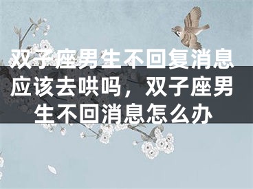 双子座男生不回复消息应该去哄吗，双子座男生不回消息怎么办