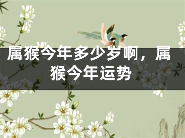 属猴今年多少岁啊,属猴今年运势