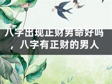 八字出现正财男命好吗，八字有正财的男人