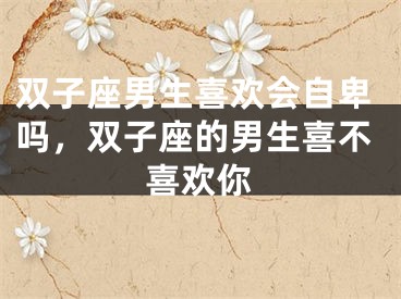 双子座男生喜欢会自卑吗,双子座的男生喜不喜欢你