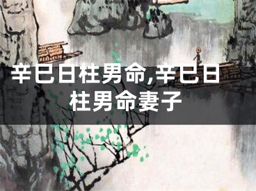 辛巳日柱男命,辛巳日柱男命妻子