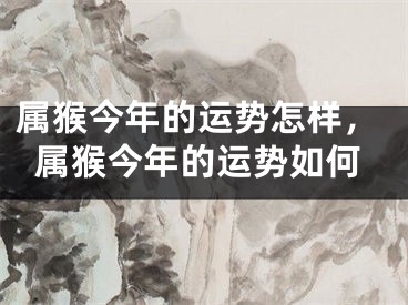 属猴今年的运势怎样,属猴今年的运势如何