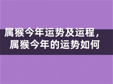 属猴今年运势及运程,属猴今年的运势如何