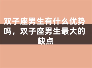 双子座男生有什么优势吗,双子座男生最大的缺点