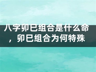 八字卯巳组合是什么命，卯巳组合为何特殊