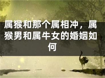 属猴和那个属相冲,属猴男和属牛女的婚姻如何